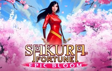 Bild på Sakura Fortune Epic Bloom